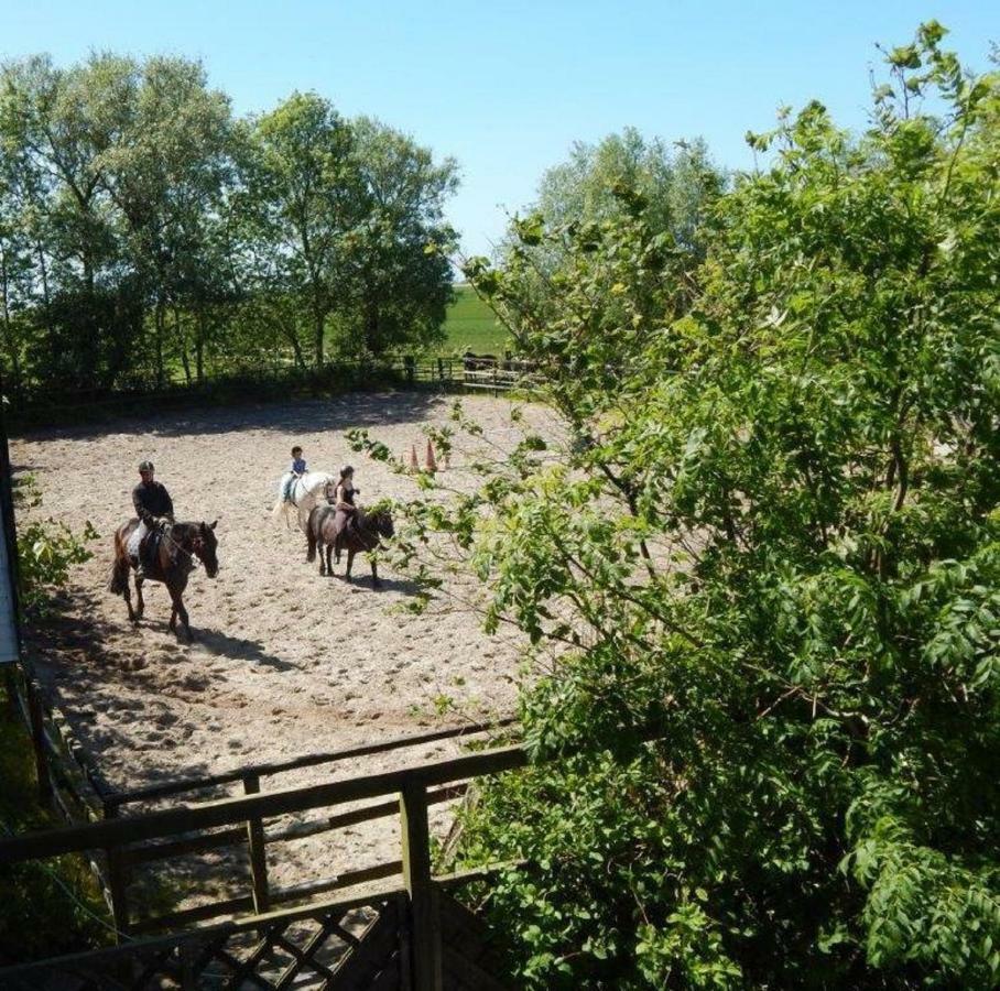 Ferienhof Frerichs Ihr Feriendomizil Am Meer シリヒ エクステリア 写真